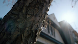 social-media-ad-cw-urban-refuge-content-2 